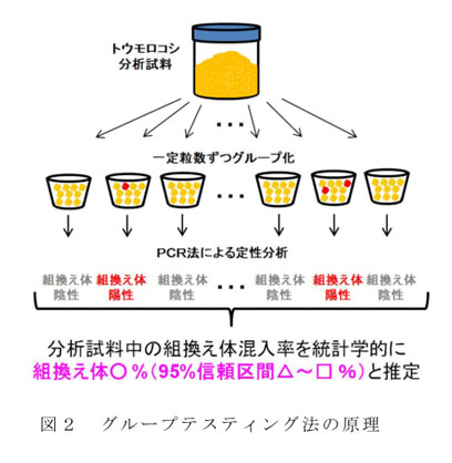 図2 グループテスティング法の原理