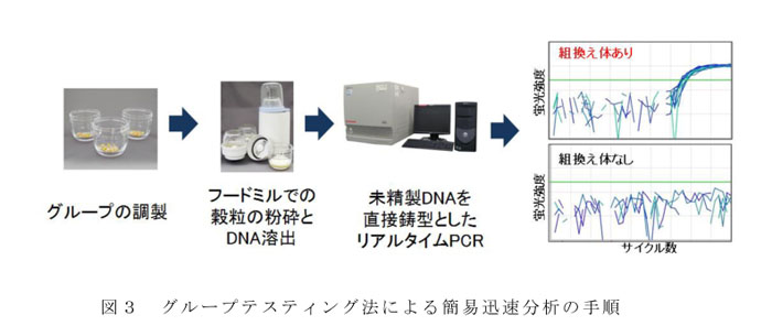 図3 グループテスティング法による簡易迅速分析の手順