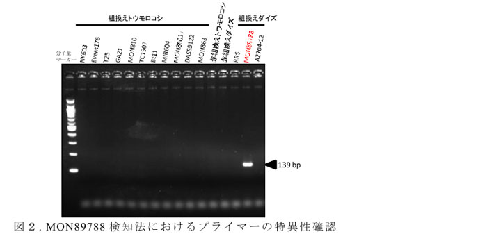 図2. MON89788検知法におけるプライマーの特異性確認