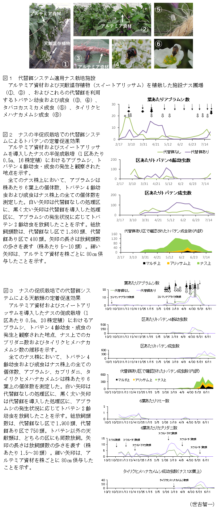 図1 代替餌システム適用ナス栽培施設,図2 ナスの半促成栽培での代替餌システムによるトバテンの定着促進効果,図3 ナスの促成栽培での代替餌システムによる天敵類の定着促進効果