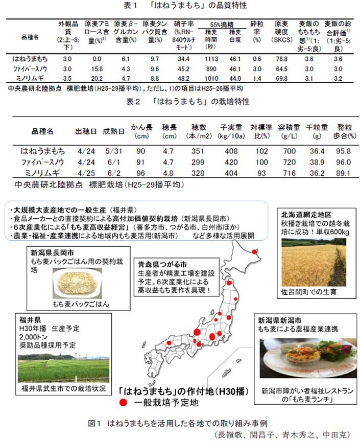 表1 「はねうまもち」の品質特性,表2 「はねうまもち」の栽培特性,図1 はねうまもちを活用した各地での取り組み事例