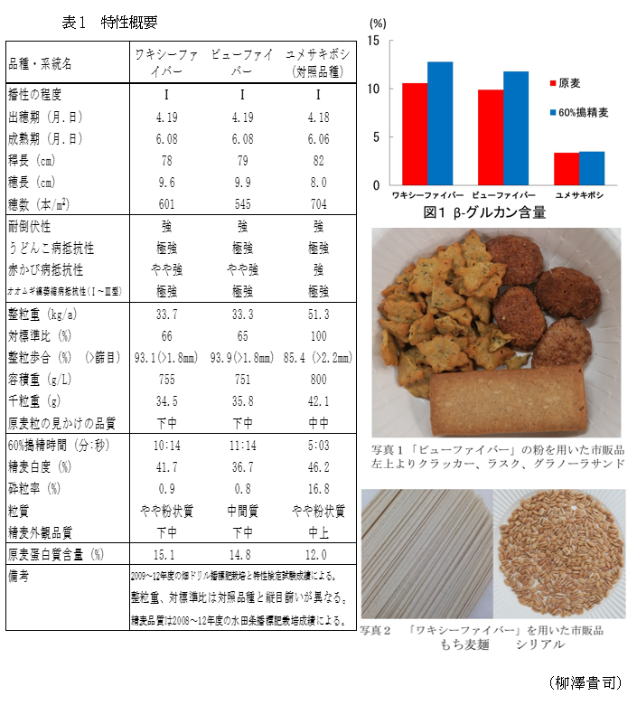 β-グルカンを多く含む大麦粉用二条裸麦品種「ビューファイバー 