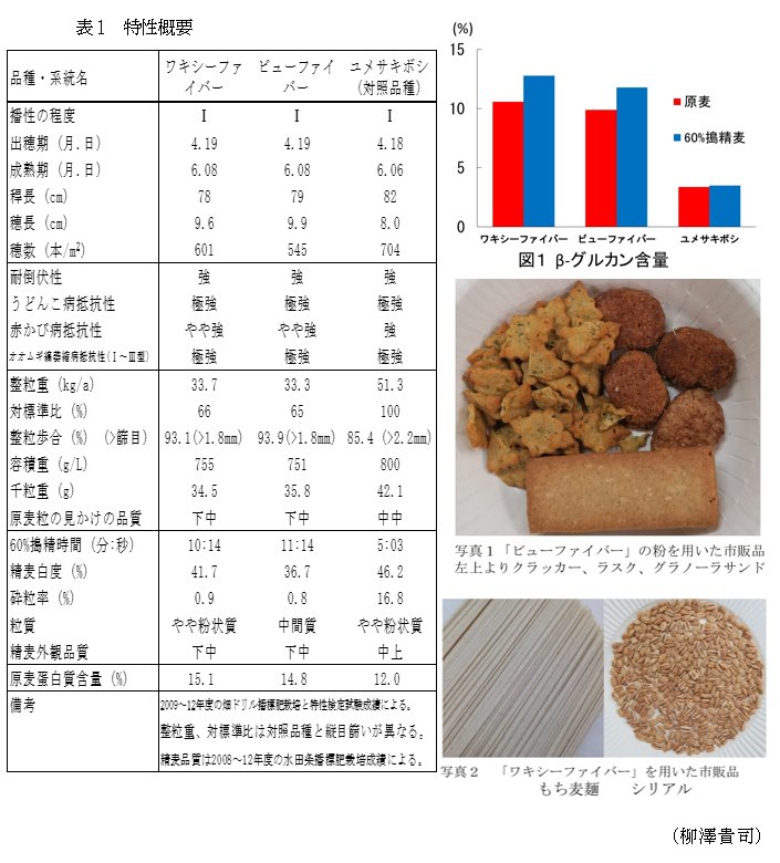 表1 特性概要,図1 β-グルカン含量,写真1 「ビューファイバー」の粉を用いた市販品,写真2 「ワキシーファイバー」を用いた市販品
