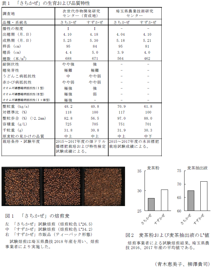 表1 「さちかぜ」の生育および品質特性,図1 「さちかぜ」の焙煎麦,図2 麦茶粉および麦茶抽出液のL*値