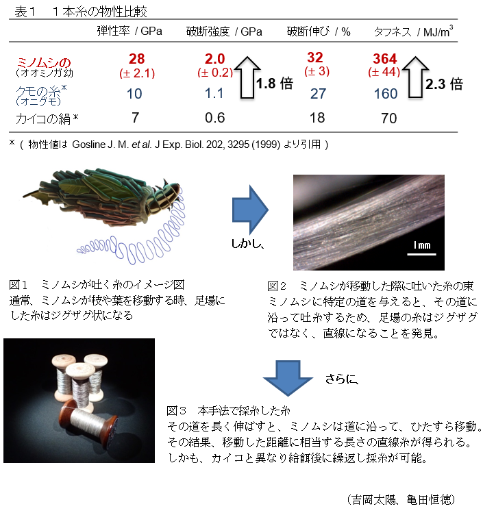 表1 1本糸の物性比較,図1 ミノムシが吐く糸のイメージ図,図2 ミノムシが移動した際に吐いた糸の束,図3 本手法で採糸した糸