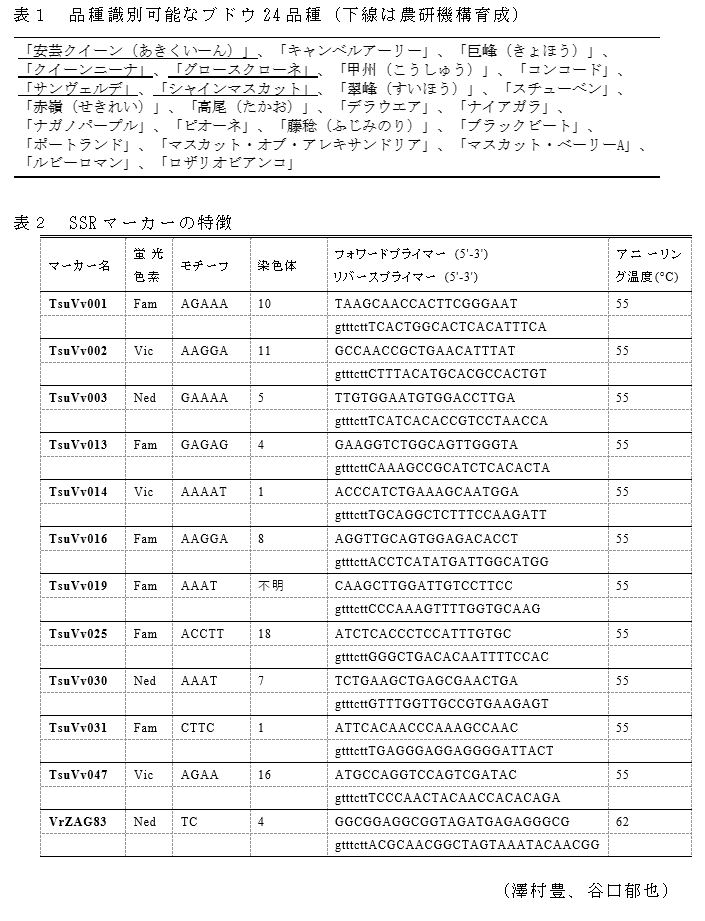 表1 品種識別可能なブドウ24品種(下線は農研機構育成),表2 SSRマーカーの特徴