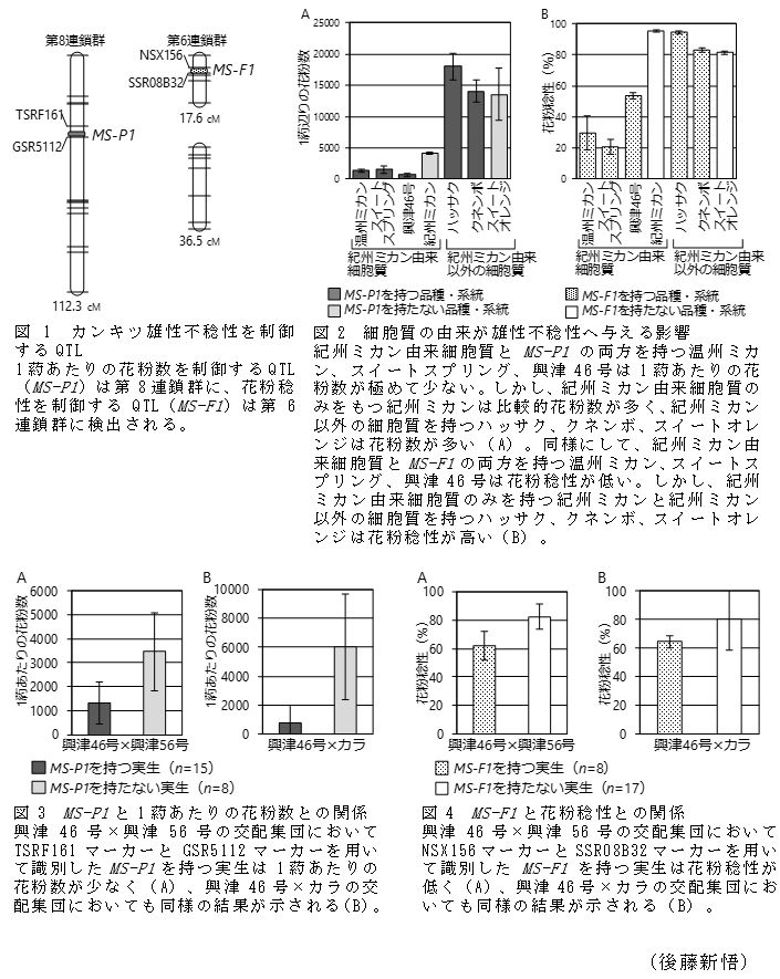 図1 カンキツ雄性不稔性を制御するQTL,図2 細胞質の由来が雄性不稔性へ与える影響,図3 MS-P1と1葯あたりの花粉数との関係,図4 MS-F1と花粉稔性との関係