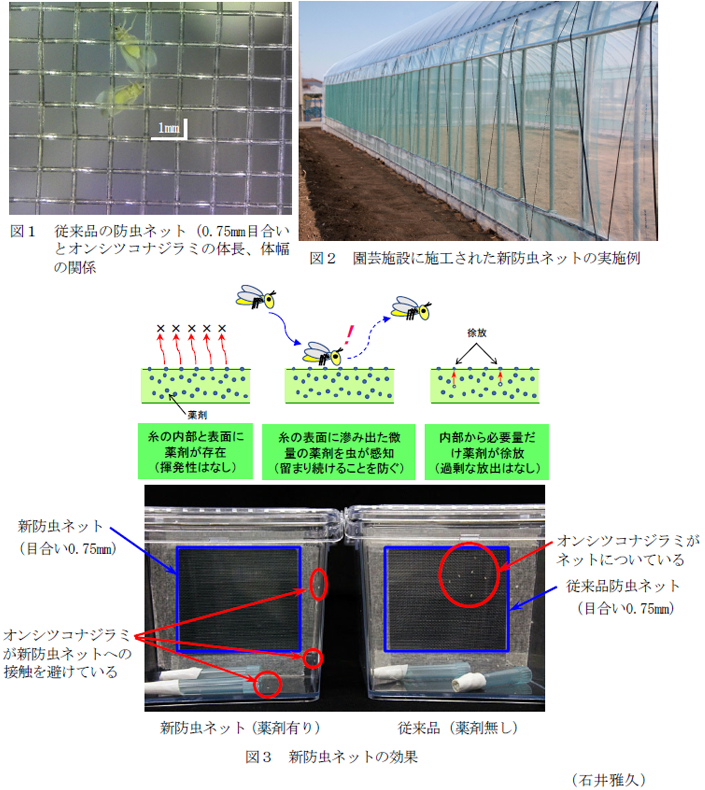 図1  従来品の防虫ネット(0.75mm目合いとオンシツコナジラミの体長、体幅の関係,図2 園芸施設に施工された新防虫ネットの実施例,図3 新防虫ネットの効果