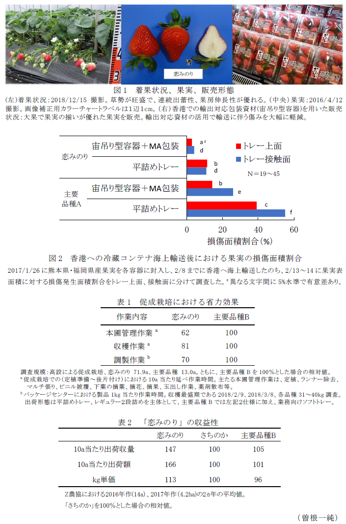 図1 着果状況、果実、販売形態,図2 香港への冷蔵コンテナ海上輸送後における果実の損傷面積割合,表1 促成栽培における省力効果,表2 「恋みのり」の収益性