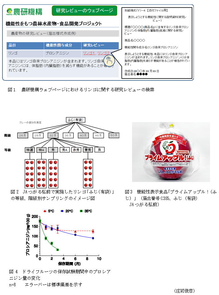 図1 農研機構ウェブページにおけるリンゴに関する研究レビューの検索,図2 JAつがる弘前で実施したリンゴ「ふじ(有袋)」の等級、階級別サンプリングのイメージ図,図3 機能性表示食品「プライムアップル!(ふじ)」(届出番号C385、ふじ(有袋) JAつがる弘前),図4 ドライフルーツの保存試験期間中のプロシアニジン量の変化