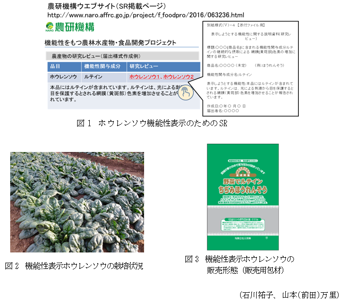 図1 ホウレンソウ機能性表示のためのSR,図2 機能性表示ホウレンソウの栽培状況,図3 機能性表示ホウレンソウの販売形態(販売用包材)