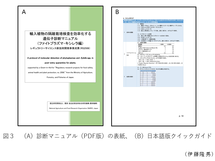 図3 (A)診断アニュアル(PDF版)の表紙、(B)日本語版クイックガイド