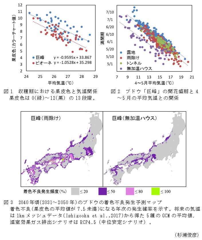 図1 収穫期における果皮色と気温関係,図2 ブドウ「巨峰」の開花盛期と4～5月の平均気温との関係,図3 2040年頃(2031～2050年)のブドウの着色不良発生予測マップ