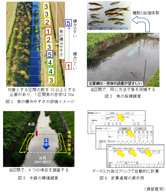 図1 魚の棲みやすさの評価イメージ,図2 魚の採捕調査,図3 水路の環境調査,図4 計算過程の表示例