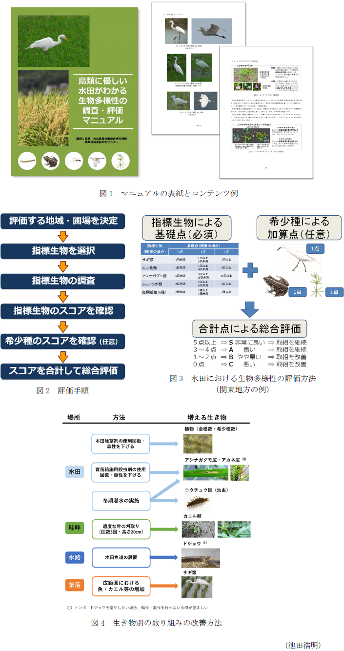 図1 マニュアルの表紙とコンテンツ例,図2 評価手順,図3 水田における生物多様性の評価方法(関東地方の例),図4 生き物別の取り組みの改善方法