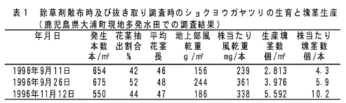 表1 除草剤散布時及び抜き取り調査時のショクヨウガヤツリの生育と塊茎生産(鹿児島県大浦町現地多発水田での調査結果)