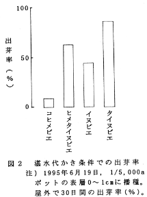 図2 湛水代かき条件での出芽率