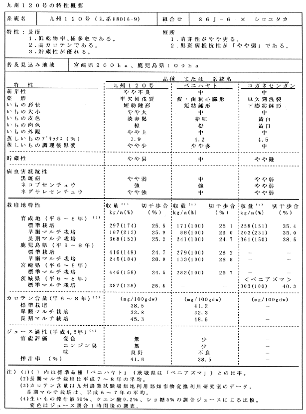 表1 九州120号の特性概要
