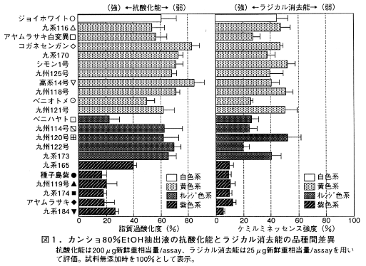 図1 カンショ80%EtOH抽出液の抗酸化能とラジカル消去能の品種間差異