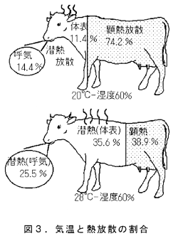 図3 気温と熱放散の割合