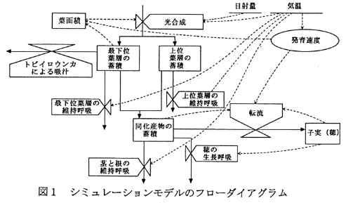 図1 シミュレーションモデルのフローダイアグラム