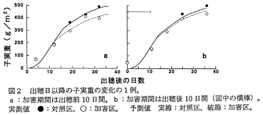 図2 出穂日以降の子実重の変化の1例