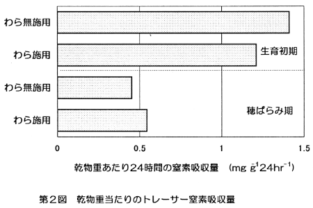 図2 乾物重当たりのトレーサー窒素吸収量