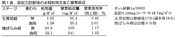 表1 吸収力診断時の水稲乾物生産と窒素吸収