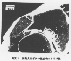 写真1 桜島大正ボラの重鉱物のSEM像