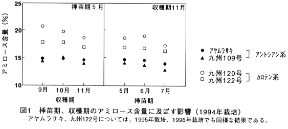 図1 挿苗期、収穫期のアミロース含量に及ぼす影響(1994年栽培)