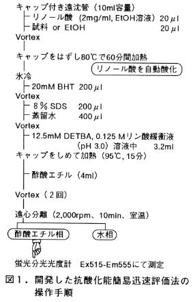 図1 開発した抗酸化能簡易迅速評価法の操作手順