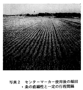 写真2 センターマーカー使用後の稲田・条の直線性と一定の行程間隔