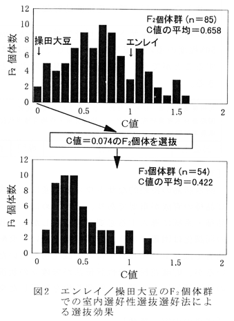 図2  エンレイ/操田大豆のF2個体群での室内選好性選抜選好法による選抜効果