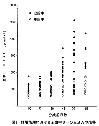 図1 妊娠後期における全血中3-OHBAの推移