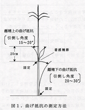 図1 曲げ抵抗の測定方法
