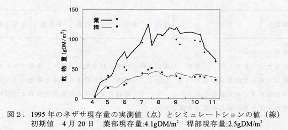 図2 1995年のネザサ現存量の実測値(点)とシミュレートションの値(線)