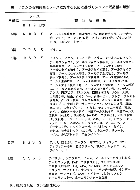 表1 メロンつる割病菌4レースに対する反応に基づくメロン市販品種の類別