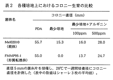 表2 各種培地上におけるコロニー生育の比較