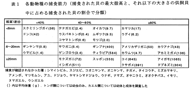 表1 各動物種の捕食能力(捕食された貝の最大殻高と、それ以下の大きさの供飼貝中に占める捕食された貝の割合で分類)