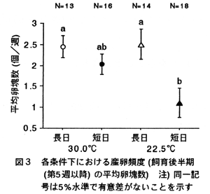 図3 各条件下における産卵頻度(飼育後半期(第5週以降)の平均卵塊数)