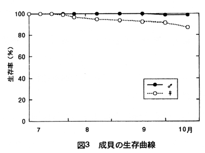 図3 成貝の生存曲線