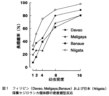 図1 フィリピン(Davao,Maligaya,Banaue)および日本(Niigata)採集セジロウンカ個体群の密度翅型反応