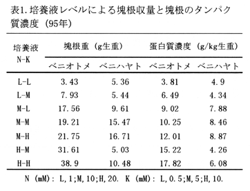 表1 培養液レベルによる塊根収量と塊根のタンパク質濃度(95年)