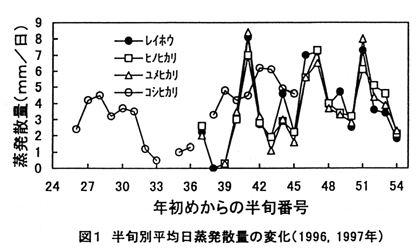 図1 半旬別平均日蒸発散量の変化(1996,1997年)