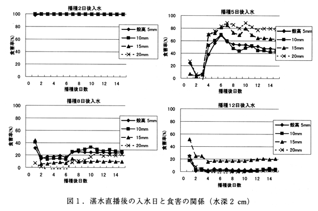 図1 湛水直播後の入水日と食害の関係(水深2cm)