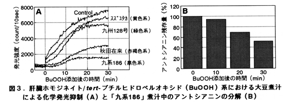図3 肝蔵ホモジネイト/tert-ブチルヒドロペルオキシド(BuOOH)系における大豆煮汁による化学発光抑制(A)と「九系186」煮汁中のアントシアニンの分解(B)