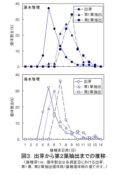 図3 出芽から第2葉抽出までの推移