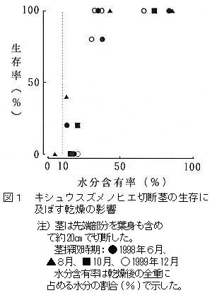 図1 キシュウスズメノヒエ切断茎の生存に及ぼす乾燥の影響