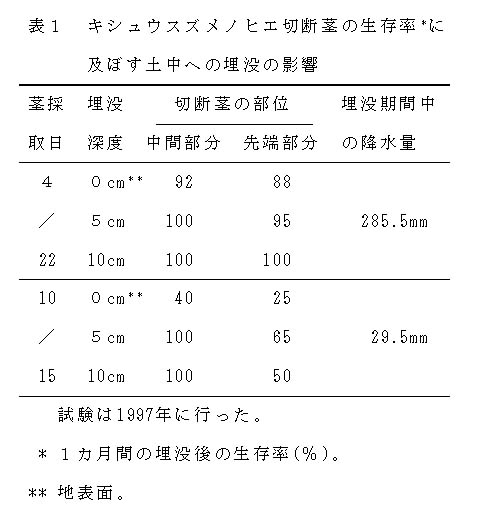 表1 キシュウスズメノヒエ切断茎の生存率*に及ぼす土中への埋没の影響