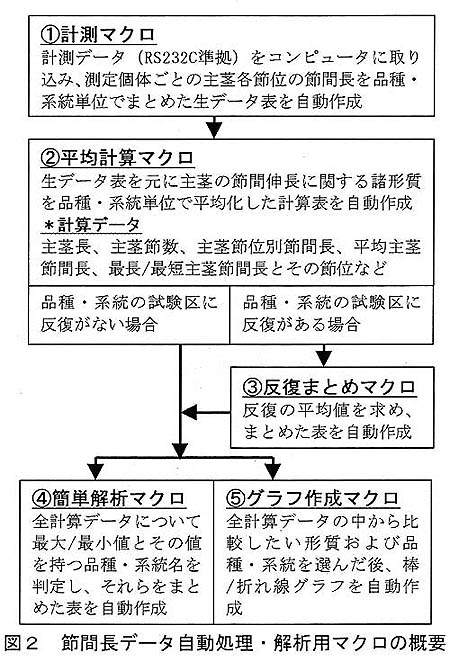 図2 節間長データ自動処理・解析用マクロの概要